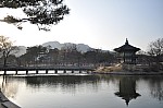 Whang Eunbee